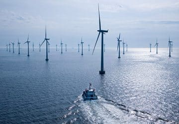 Protection requirements for a large scale wind park